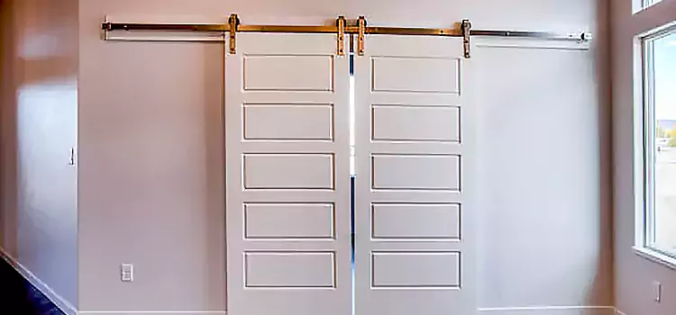 Glass Barn Door with Installation Hardware Kit Lufkin
